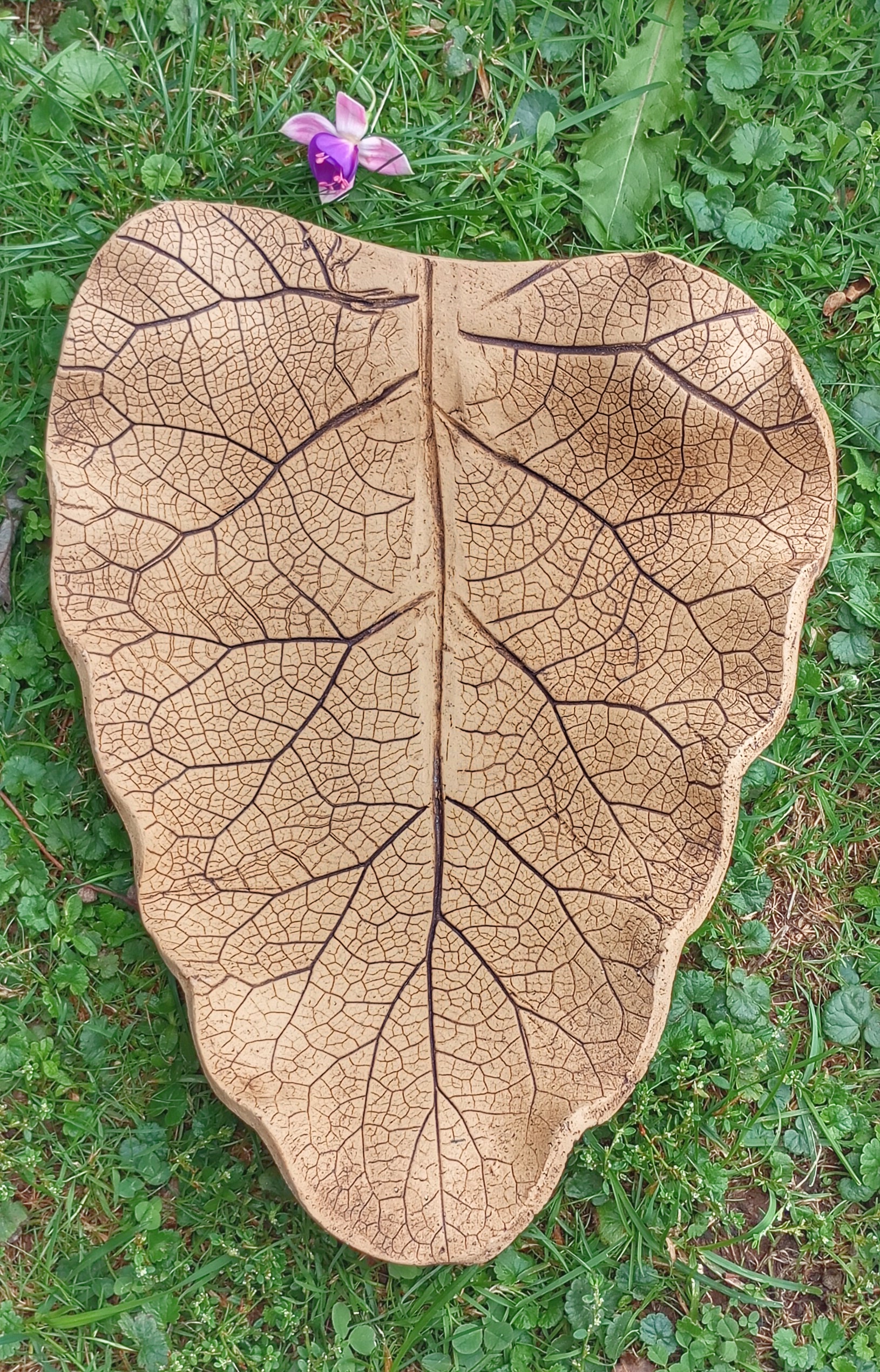 1000036677